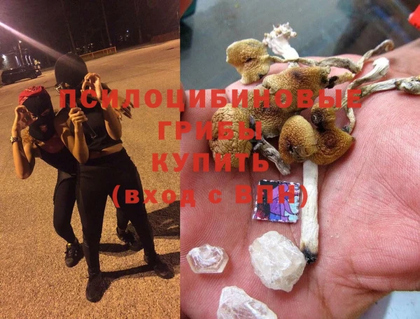 синтетический гашиш Няндома