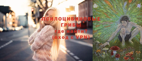 синтетический гашиш Няндома
