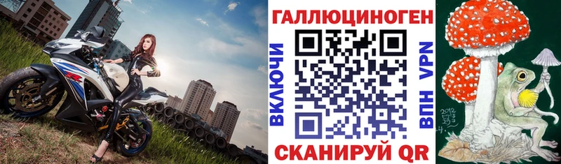 Купить где  Инта  Псилоцибиновые грибы мицелий 